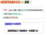 生物沪教版八年级上册 生命科学 2.1 神经调节的基本方式课件