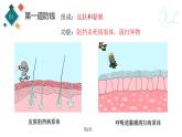 生物沪教版八年级上册 生命科学 3.2 常见病及其预防 (第2课时)人体的免疫功能 课件 沪教版生命科学八年级第一册