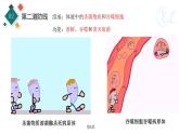 生物沪教版八年级上册 生命科学 3.2 常见病及其预防 (第2课时)人体的免疫功能 课件 沪教版生命科学八年级第一册