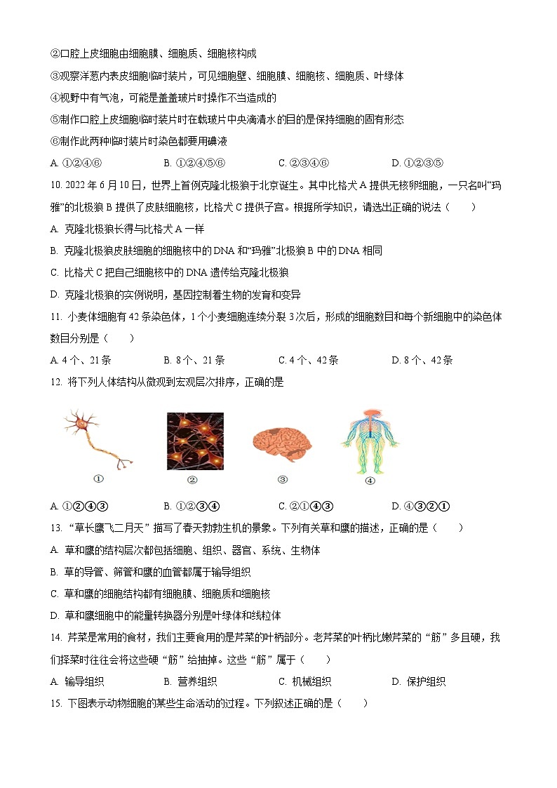 河南省郑州市巩义市2023-2024学年七年级上学期期末生物学试题（原卷版）03