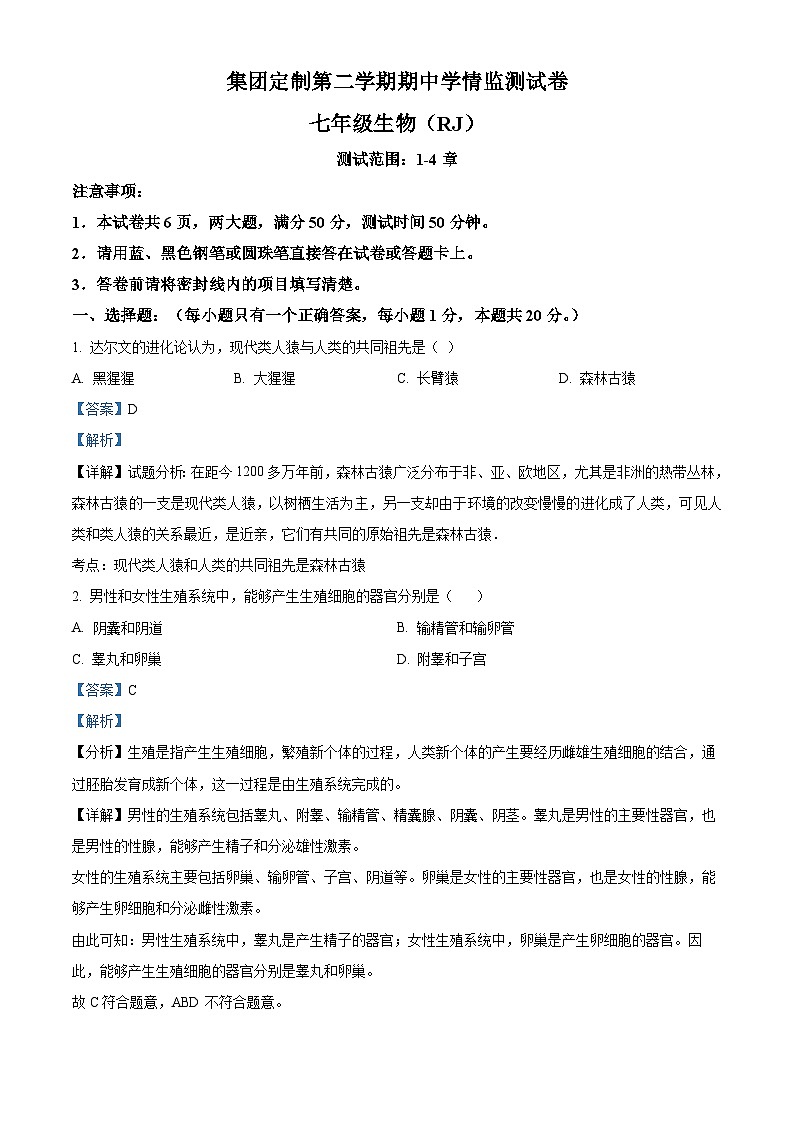 河南省新乡市多校联考2023-2024学年七年级下学期期中生物试题（解析版）01