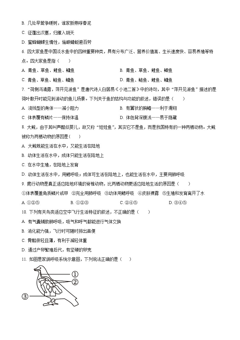 广东省深圳市罗湖区2023-2024学年八年级上学期期末生物试题（原卷版）02
