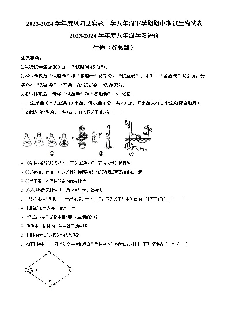 安徽省滁州市凤阳县实验中学2023-2024学年八年级下学期期中生物学试题（原卷版）01