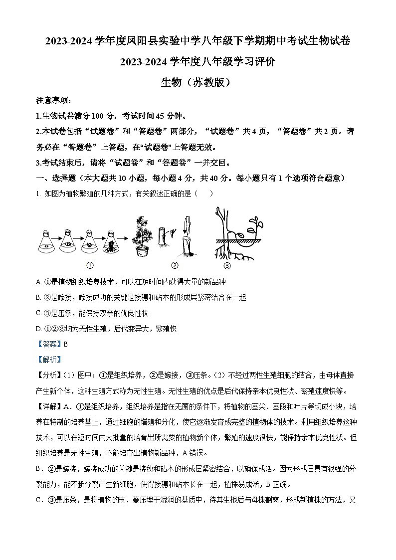 安徽省滁州市凤阳县实验中学2023-2024学年八年级下学期期中生物学试题（解析版）01