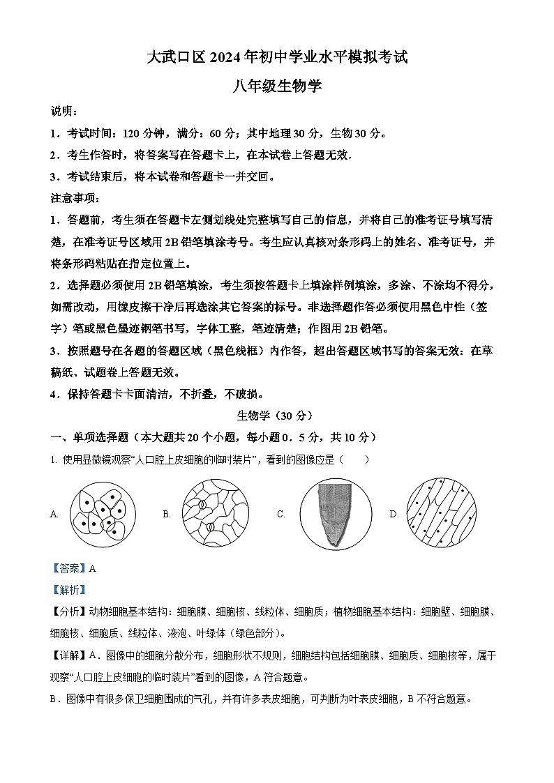 2024年宁夏回族自治区石嘴山市大武口区中考二模生物学试题（解析版）01