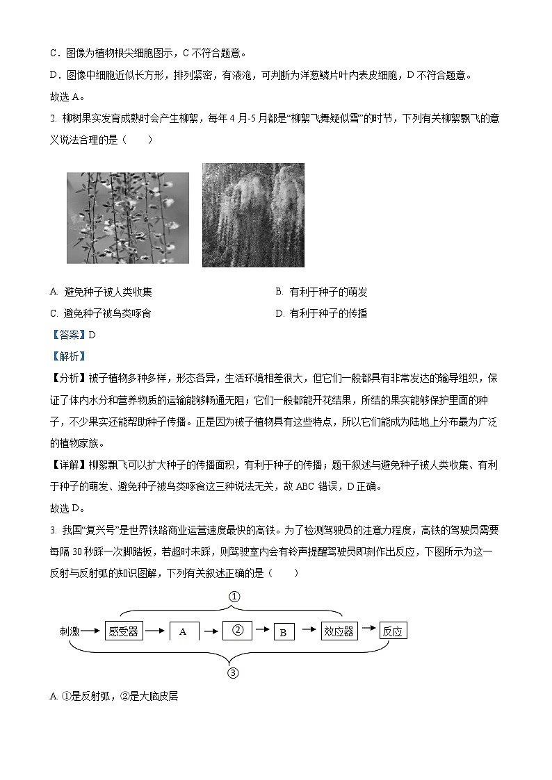 2024年宁夏回族自治区石嘴山市大武口区中考二模生物学试题（解析版）02