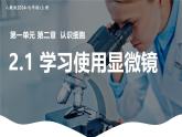 新人教版（2024）生物七年级上册--1.2.1 练习使用显微镜 （课件）