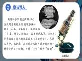 新人教版（2024）生物七年级上册--1.2.1 练习使用显微镜 （课件）