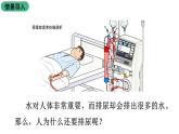 苏科版八上生物 15.2《人体内废物的排出》课件