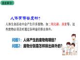 苏科版八上生物 15.2《人体内废物的排出》课件