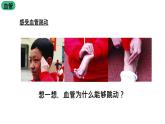 苏科版八上生物 15.1《人体内物质的运输》课件