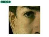 苏科版八上生物 16.2《人体对信息的感知》课件
