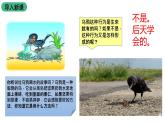 苏科版八上生物 17.2《动物的行为》课件