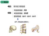 苏科版八上生物 17.1 《人体的运动》（二）课件