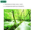 苏科版八上生物 18.2《绿色植物与生物圈中的碳-氧平衡》课件