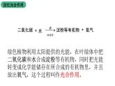 苏科版八上生物 18.2《绿色植物与生物圈中的碳-氧平衡》课件