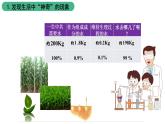 苏科版八上生物 18.1《绿色植物与生物圈中的水循环》课件