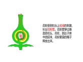 苏科版八上生物 19.1《植物的生殖》 课件