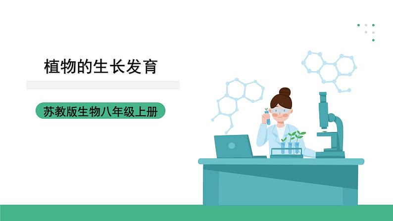 苏科版八上生物 19.2《植物的生长发育》课件01