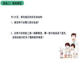 苏科版八上生物 19.2《植物的生长发育》课件