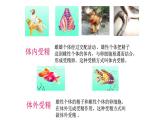 苏科版八上生物 20.1《动物的生殖》课件