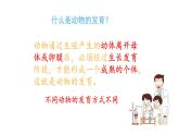 苏科版八上生物 20.2《动物的发育》课件