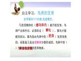 苏科版八上生物 20.2《动物的发育》课件