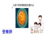 苏科版八上生物 21.2 《人的个体发育》课件