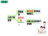 苏科版八上生物 21.2 《人的个体发育》课件