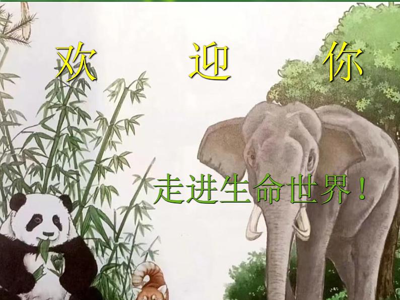 苏科版新课标七年级生物上册第一节生物与生物学PPT课件（含视频）01