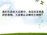 苏科版新课标七年级生物上册第一节生物与生物学PPT课件（含视频）