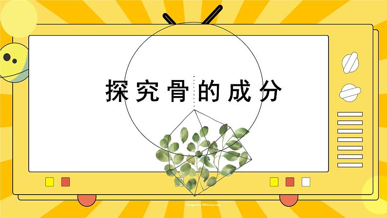 北京版生物八年级上册 9.1 动物的运动 课件01