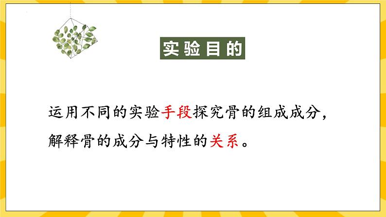 北京版生物八年级上册 9.1 动物的运动 课件02