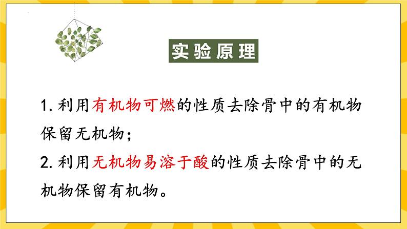 北京版生物八年级上册 9.1 动物的运动 课件03