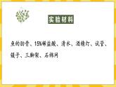 北京版生物八年级上册 9.1 动物的运动 课件