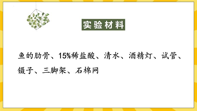 北京版生物八年级上册 9.1 动物的运动 课件04