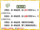 北京版生物八年级上册 9.1 动物的运动 课件