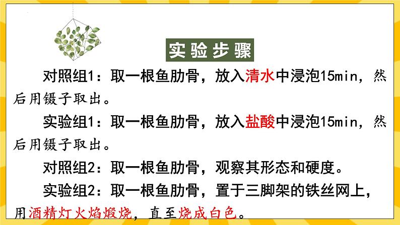 北京版生物八年级上册 9.1 动物的运动 课件05