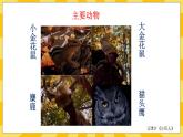 北京版生物八年级上册 9.2 动物的行为 课件