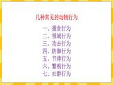北京版生物八年级上册 9.2 动物的行为 课件