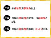 北京版生物八年级上册 10.1生殖系统和受精 课件