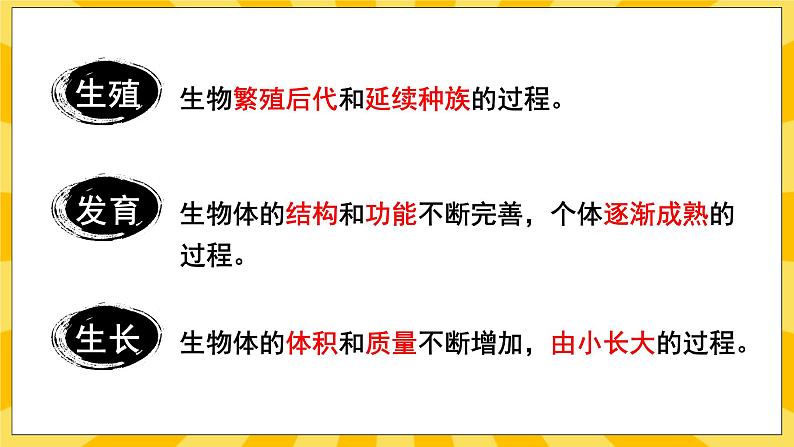 北京版生物八年级上册 10.1生殖系统和受精 课件02