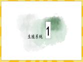 北京版生物八年级上册 10.1生殖系统和受精 课件