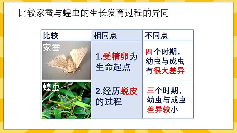 北京版生物八年级上册 10.2动物的生殖和发育 课件07