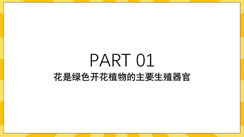 北京版生物八年级上册 10.3 花的结构和双受精 课件03