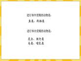 北京版生物八年级上册 10.4 生物生殖的多种方式  课件