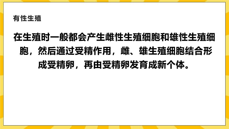 北京版生物八年级上册 10.4 生物生殖的多种方式  课件04