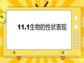 北京版生物八年级上册 11.1生物的性状表现  课件