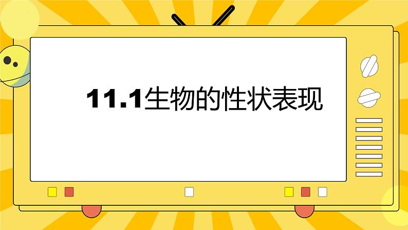 北京版生物八年级上册 11.1生物的性状表现  课件01