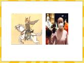 北京版生物八年级上册 11.3人类的遗传  课件